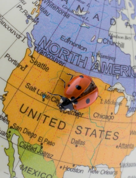 New US Passport Requirements for 2025: Don’t Get Stuck!