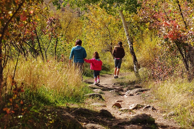 A scenic view of a family hiking through a less-known national park in the US, surrounded by lush forests and mountains. The family members are smiling and engaged, enjoying the tranquility and natural beauty of the landscape.