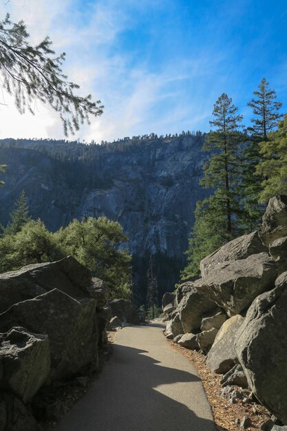 A scenic view inside Yosemite National Park, featuring a towering granite cliff, lush trees, and a clear blue sky. Several people are hiking on a marked trail.