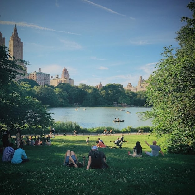 A bustling scene in Central Park, New York City, with people walking, biking, and relaxing on the grass. The Bethesda Terrace and Fountain are visible in the background.