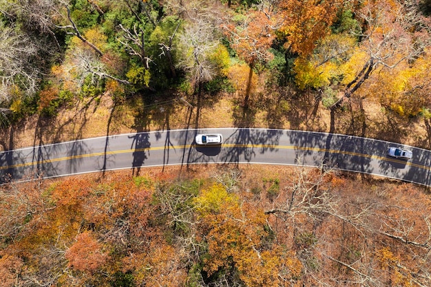 Maximize Your Road Trip Budget: 7 Proven Fuel-Saving Strategies