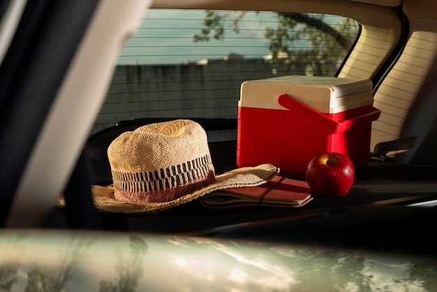 Interior of a car with a cooler filled with healthy snacks like fruits, vegetables, yogurt, and water bottles. The cooler is easily accessible on the backseat, and there is a travel map on the dashboard.