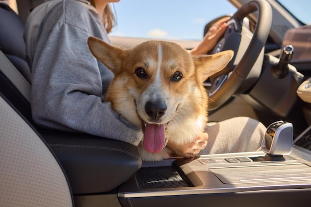Road Trip Pet Travel: 2025 Guide for Happy Furry Friends