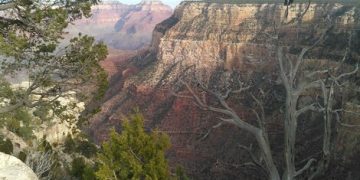 US Travel Trends: What to Expect in the Coming Years - Cover Image
