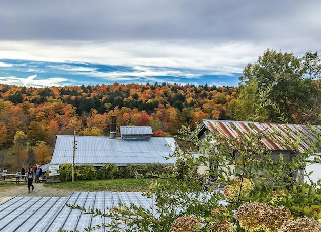 A solar panel installation on the roof of a eco-friendly hotel in a rural US location, with lush greenery surrounding the building and guests enjoying outdoor activities like hiking and biking.