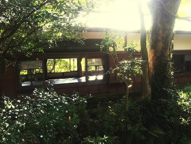 A picturesque scene of a sustainable eco-lodge nestled in a lush green forest, with solar panels visible on the roof. The image showcases environmentally friendly accommodations and the beauty of eco-tourism.