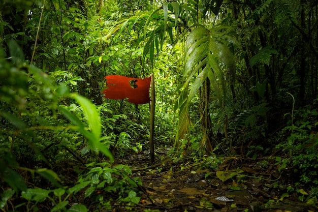 A panoramic view of a lush rainforest being protected by a sustainable tourism initiative, with visible signs of reforestation and wildlife conservation efforts.