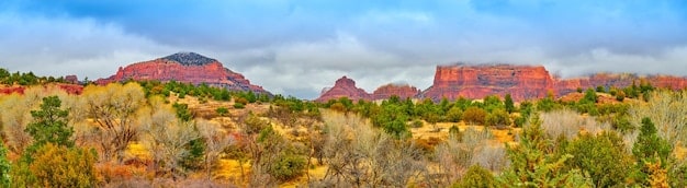 US Travel Carbon Offsets in 2025: A Guide to Verified Carbon Credits