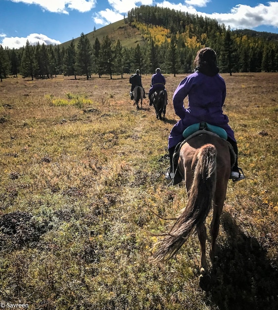 Ethical Animal Tourism in the US: A Guide to Responsible Wildlife Encounters