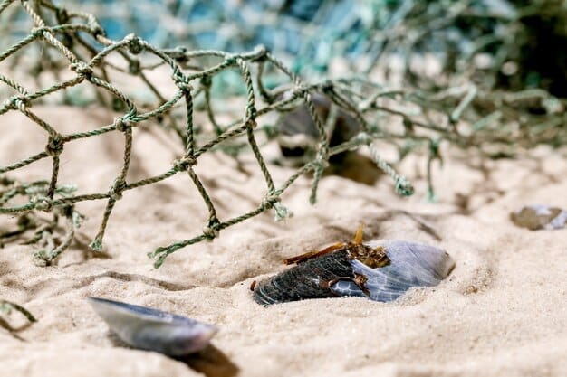 A photo of volunteers cleaning a sea turtle nesting beach, removing plastic waste and debris. The background shows healthy dune vegetation and a clear ocean.