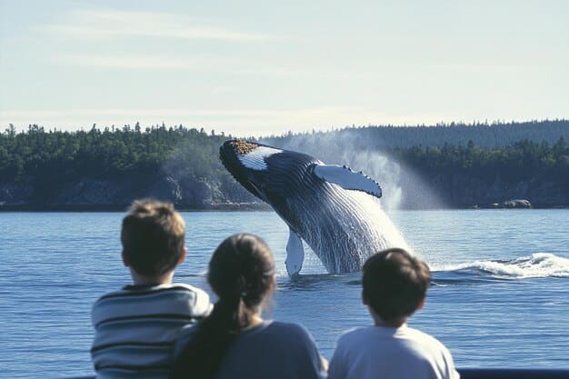 A scenic whale watching tour boat with tourists observing a humpback whale breaching in the distance. The focus is on responsible observation, maintaining a safe distance and minimizing disturbance to the whale.