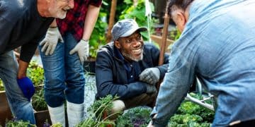 Ethical Volunteering in the US: Find Projects That Help Locals - Cover Image