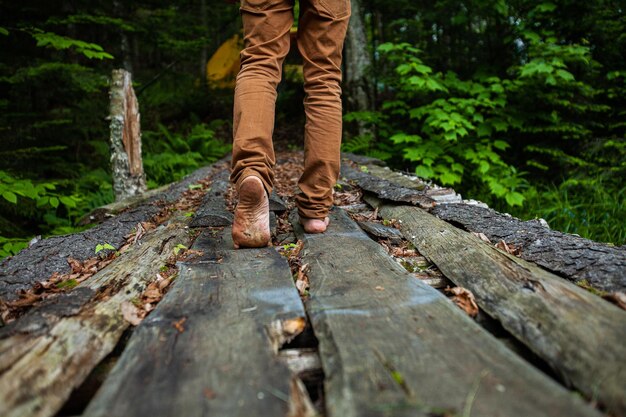 A hiker carefully stepping over a fallen log on a forested trail in the US. The hiker is using trekking poles for stability and is surrounded by lush green vegetation. The image emphasizes the importance of staying on designated trails.