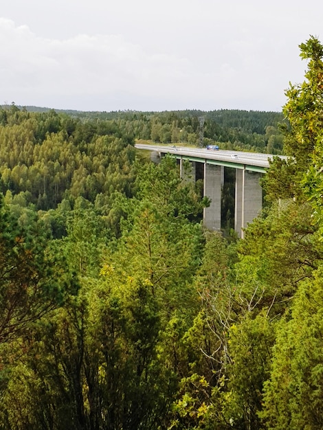 Sustainable Tourism in the US: Top 3 Trends for the Next 3 Months