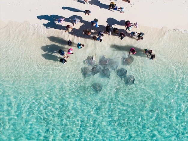 Navigating the Evolving Landscape of Travel Influencer Marketing