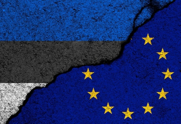 A split image: on one side, the EU flag representing GDPR; on the other side, the California state flag representing CCPA. A magnifying glass focuses on data streams in the middle, symbolizing the scrutiny of data privacy compliance.