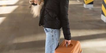 New Regulations for Flying with Pets: US Travel Guide - Cover Image