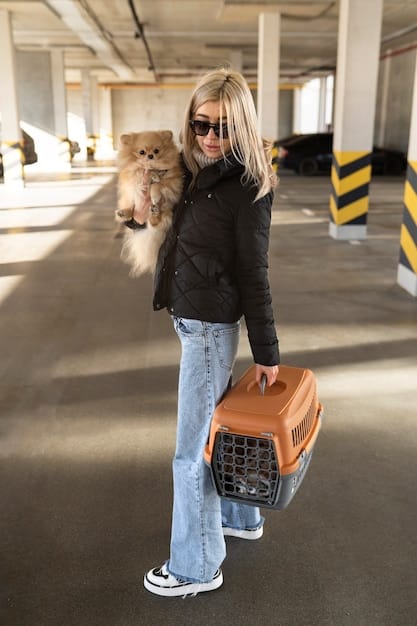 New Regulations for Flying with Pets: US Travel Guide