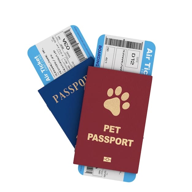 A close-up shot of a pet passport with vaccination stickers and a health certificate, next to a paw-shaped luggage tag.