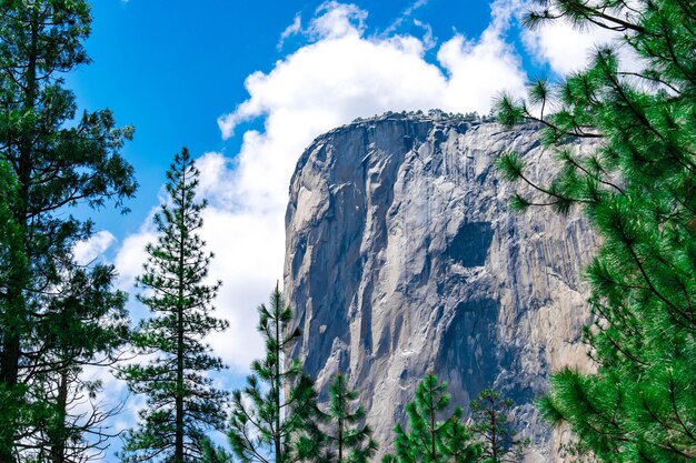 A picturesque scene of Yosemite National Park, showcasing the majestic granite cliffs of El Capitan and Half Dome, with lush green valleys and towering pine trees under a clear blue sky.