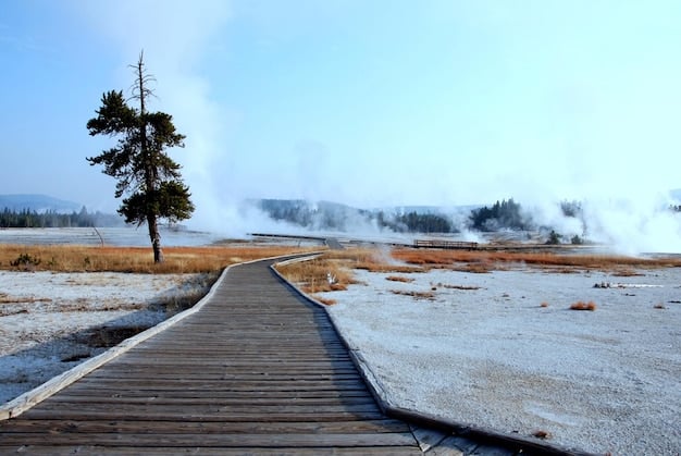 A serene winter scene in Yellowstone National Park, with snow-covered geysers and minimal visitors in sight. The image represents the beauty and tranquility of off-season park visits.
