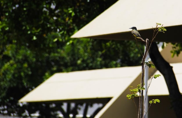 A close-up shot of solar panels on the roof of a eco-friendly hotel in the US, with a lush green garden in the background, symbolizing sustainable accommodations and renewable energy usage.