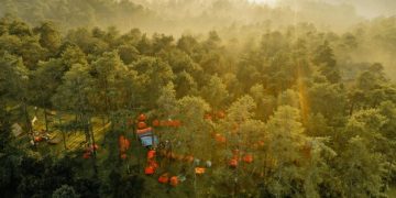 The Rise of Sustainable Travel: Trends and Innovations - Cover Image