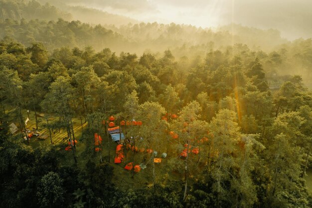 The Rise of Sustainable Travel: Trends and Innovations