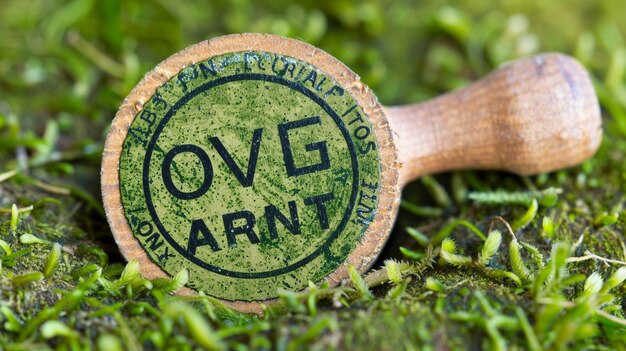 Close-up of an Eco Tour seal, with certification standards listed beneath, to verify what it protects as a whole. Camera focus should be on seal itself, but capture enough background context to see Eco Tour environment as well.