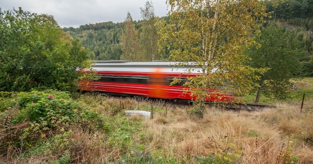 A modern, high-speed electric train is shown speeding through a scenic countryside with lush green hills and a clear blue sky. Solar panels are visible on the train's roof, highlighting its commitment to renewable energy. Passengers are looking out the window, smiling and enjoying the journey.