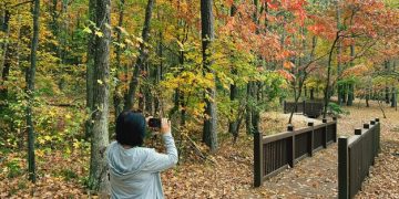 Ethical Wildlife Encounters: US Sanctuaries Prioritizing Animal Welfare - Cover Image