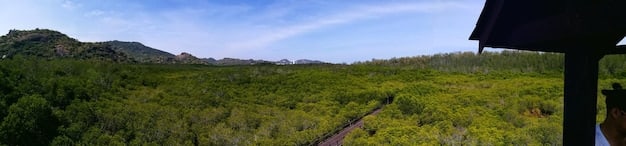 Sustainable Tourism Trends & Travel Media: A 2025 Outlook