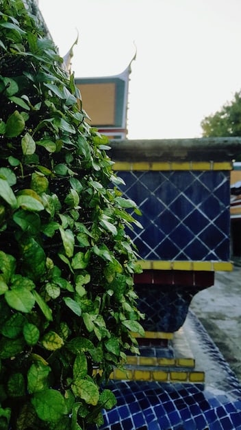 A close-up of solar panels on the roof of an eco-friendly resort, illustrating the use of renewable energy and sustainable practices in the hospitality industry.