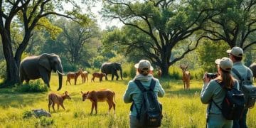 Responsible wildlife tourism practices for sustainable adventures