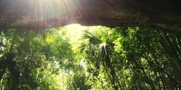 Sustainable Travel Boom: Decoding the 18% Booking Surge in 2025 - Cover Image