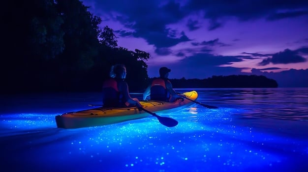 A panoramic view of a group of kayakers paddling through bioluminescent waters at night, with glowing trails visible in their wake.