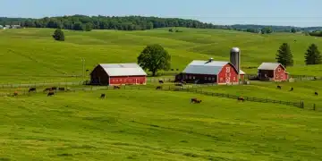 Sustainable farm stay with USDA certification, US agriculture